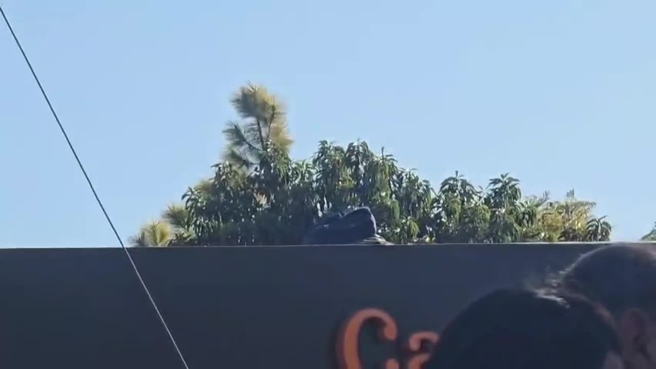 Paracaidista aterrizó en el techo de un centro comercial