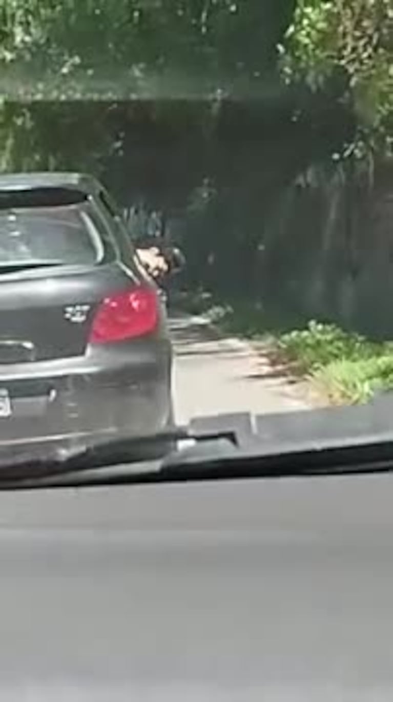 Irresponsabilidad en Dique los Molinos