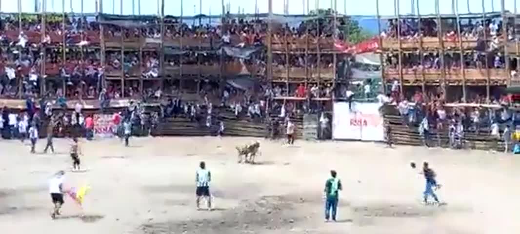 El derrumbe de las gradas en una plaza de toros en Colombia