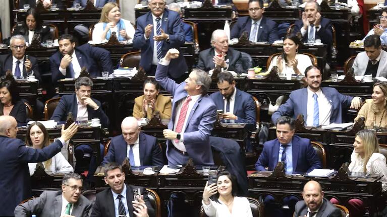 Picat tras la aprobación de Ley Bases: “El Gobierno tiene que usarla para que haya respuesta económica”