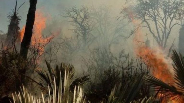 Arde Punilla: el avance del fuego en Cuchi Corral y el cerro de La Mermela
