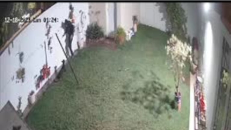 Lanzó un perro sobre la tapia para robárselo