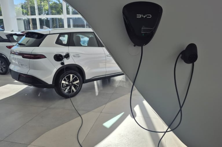 Llegó el buque con 5000 autos chinos: cómo funcionan los eléctricos y a cuánto se venden en Córdoba