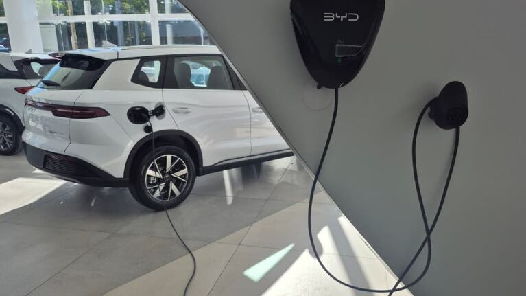 Llegó el buque con 5000 autos chinos: cómo funcionan los eléctricos y a cuánto se venden en Córdoba