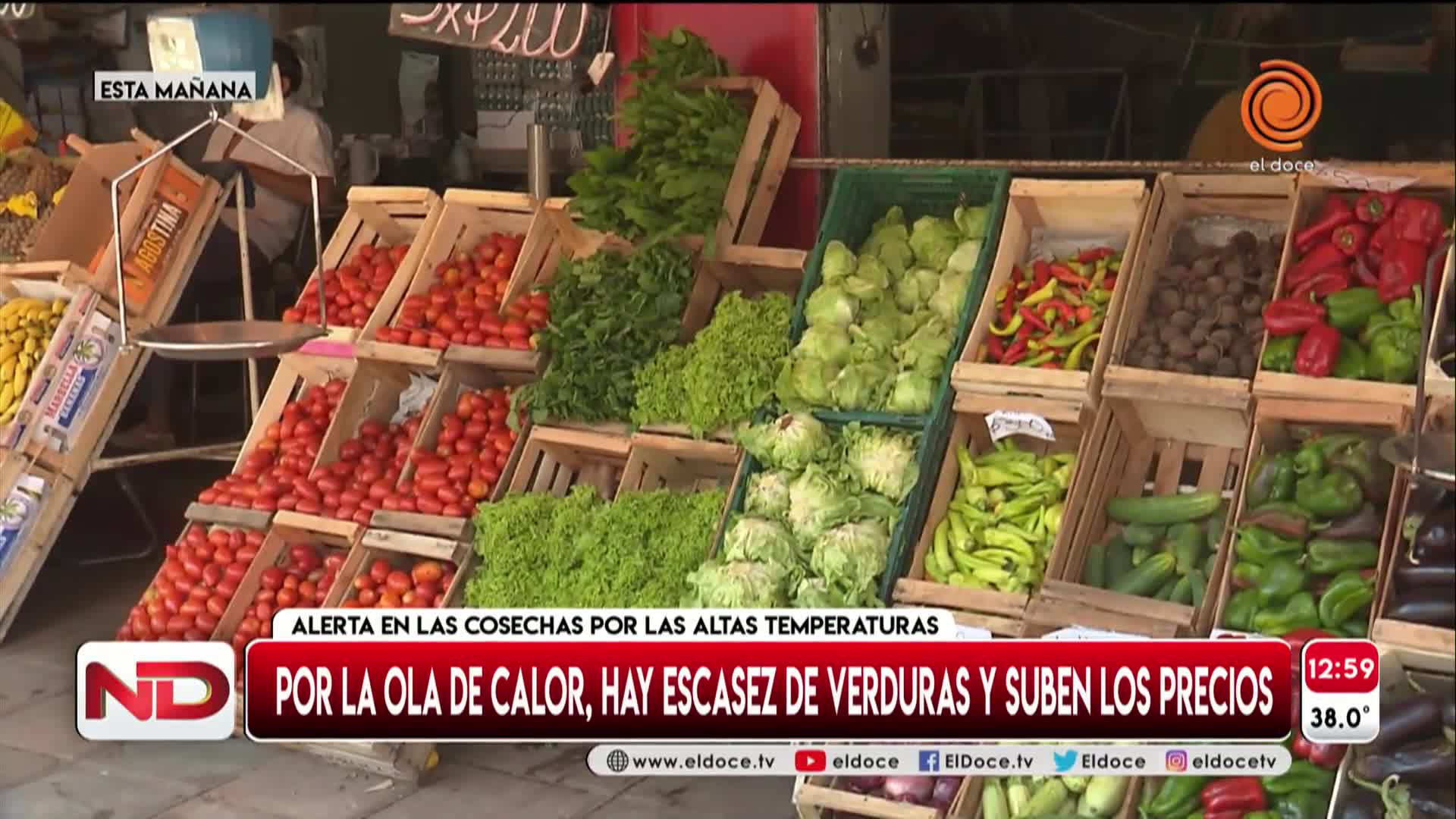 Alerta en las cosechas: escasez de verduras y suba de precios