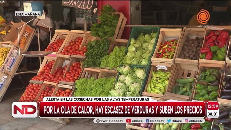 Alerta en las cosechas: escasez de verduras y suba de precios