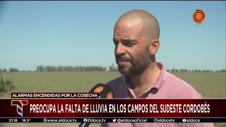 El lamento del campo por la falta de lluvia en Córdoba