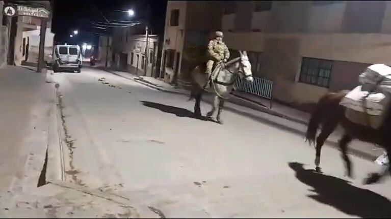 El traslado de urnas a lomo de mula