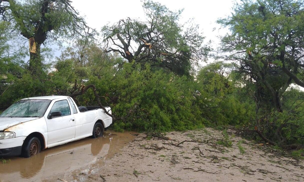 Así quedó La Playosa tras el intenso temporal