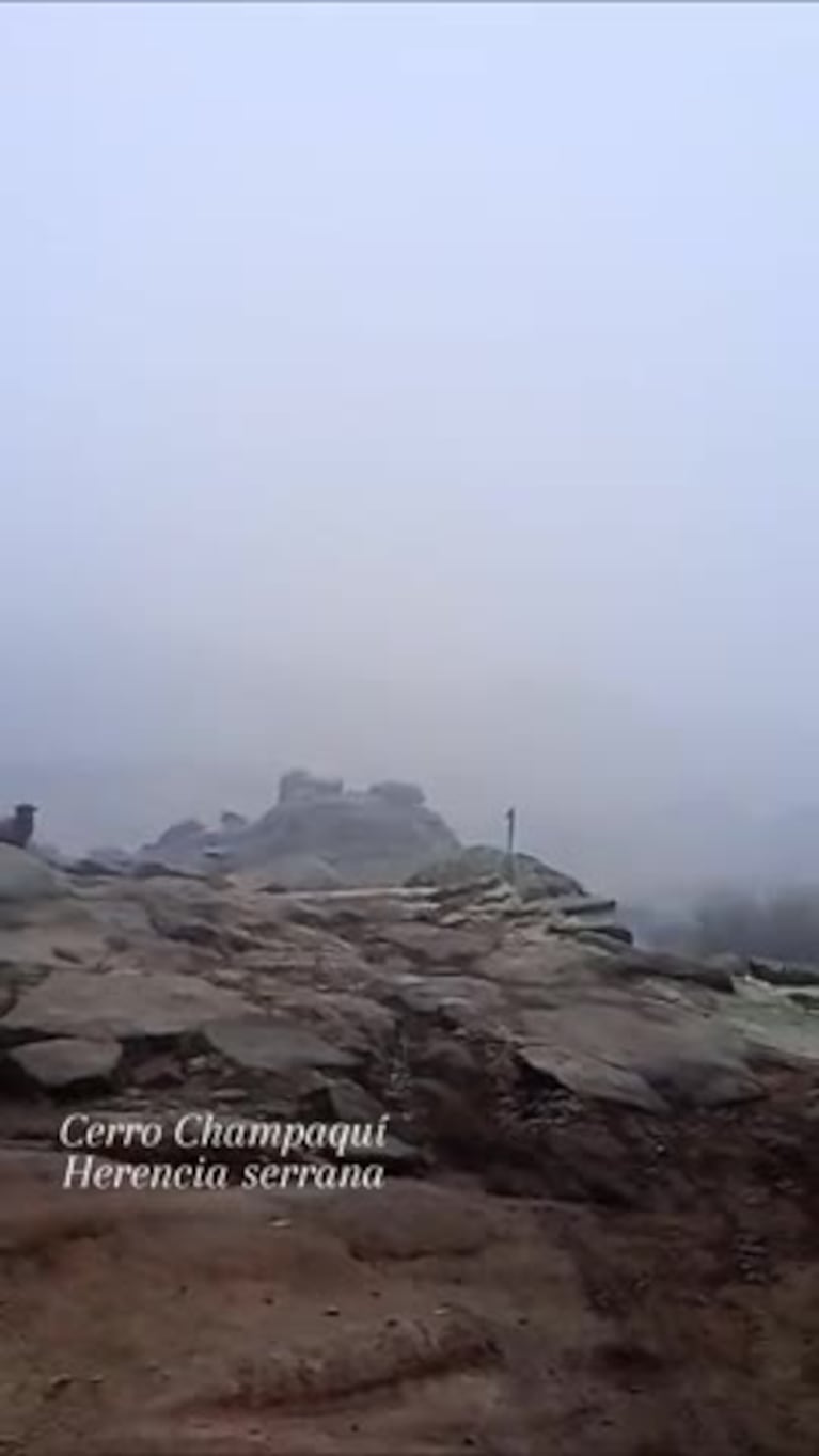 Video Placeholder