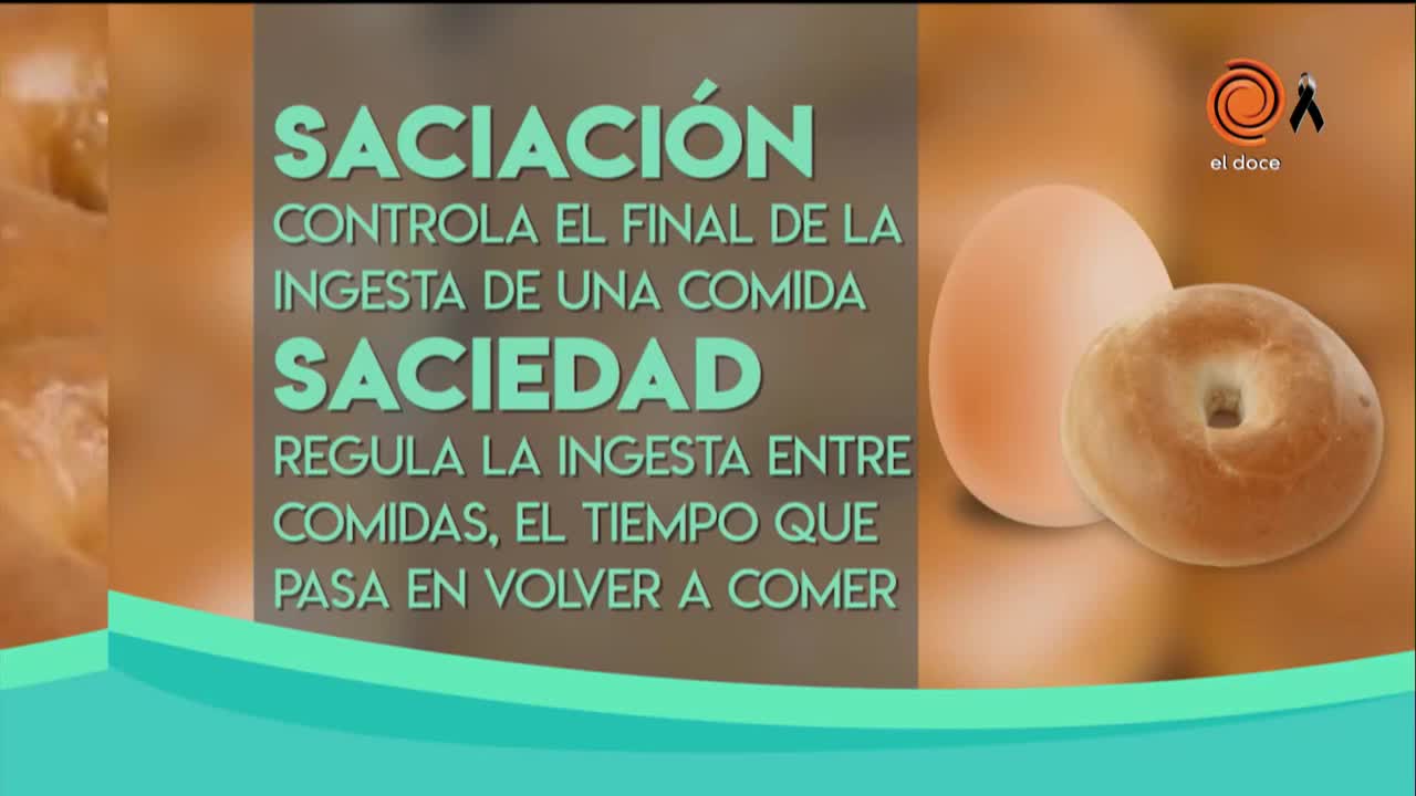 ¿Por qué es más importante desayunar huevo y menos pan?