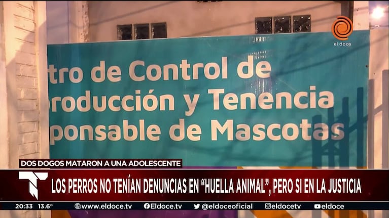 Confirmaron que los dogos asesinos tenían denuncias en la Justicia