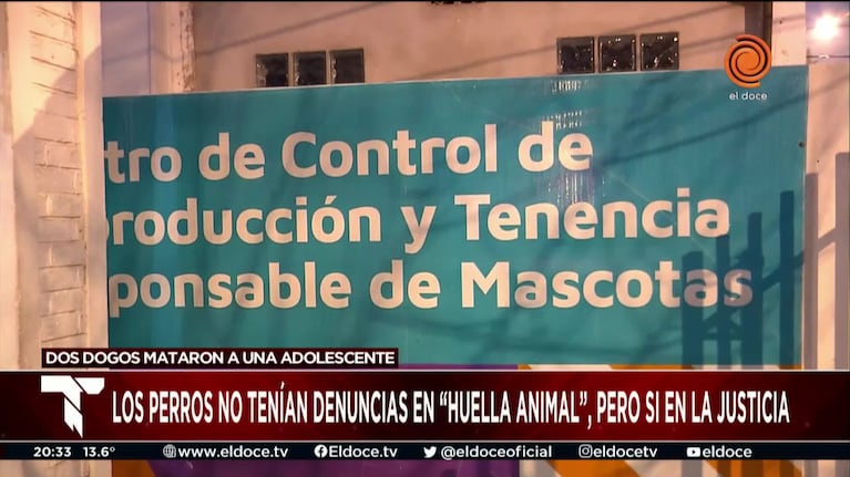 Confirmaron que los dogos asesinos tenían denuncias en la Justicia