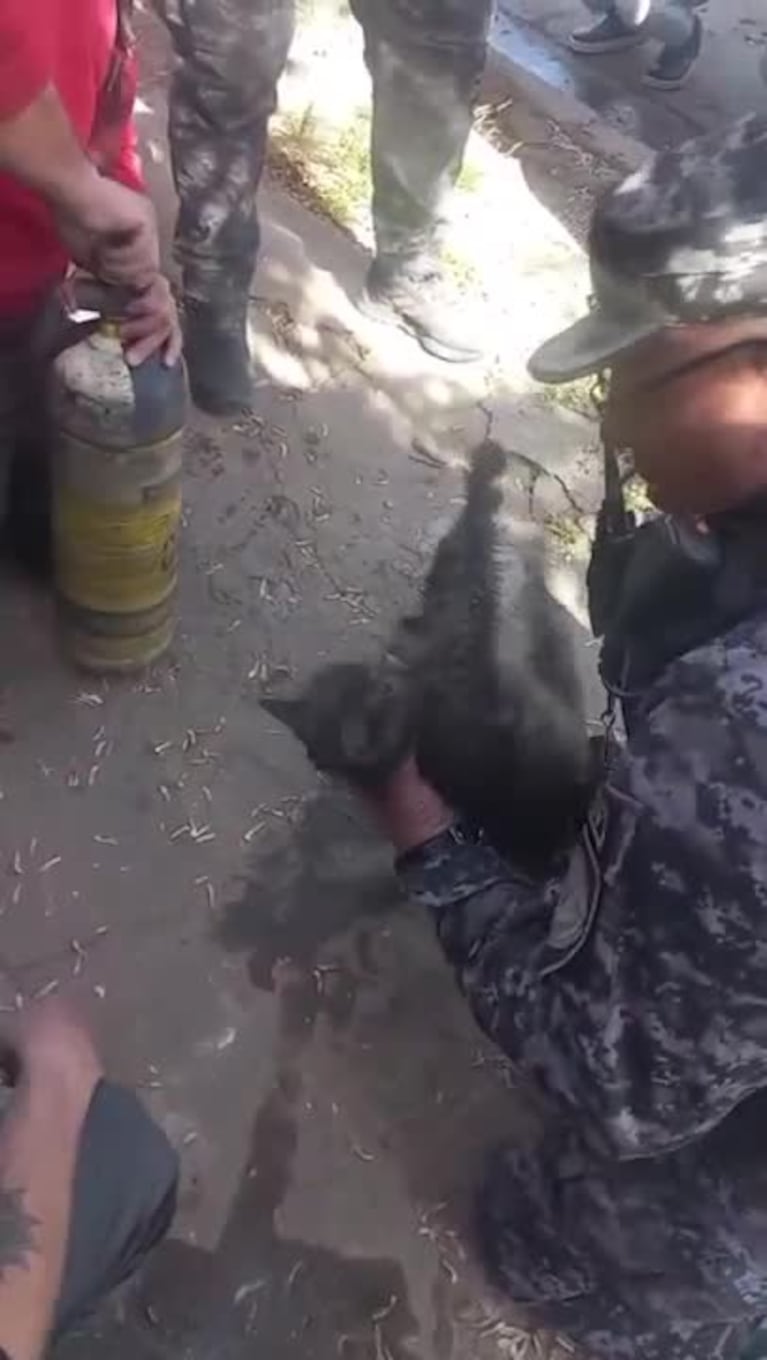 Video Placeholder