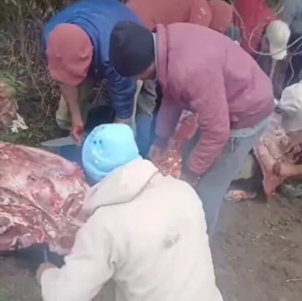 Vecinos carnearon vacas tras el vuelco de un camión en Córdoba