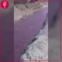 Sorpresa total: un río de vino tinto en Salta
