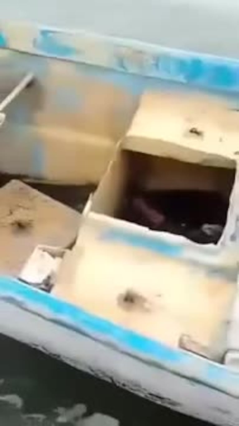 Video Placeholder