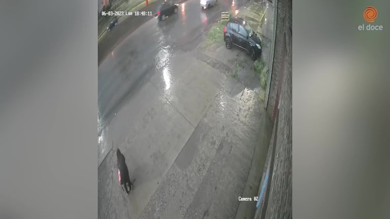 Secuencia de robos a toda hora en barrio Güemes