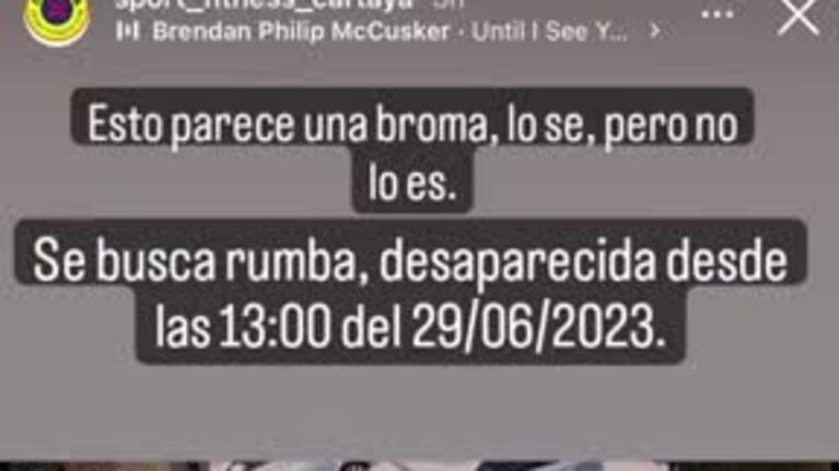 Una aspiradora robot se dio a la fuga