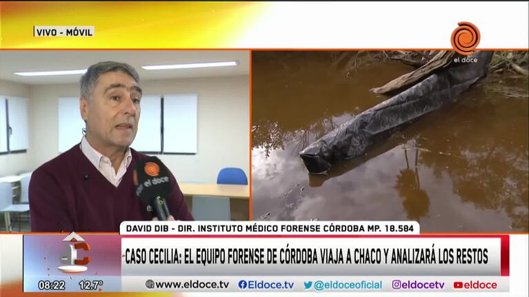 Caso Cecilia Strzyzowski: forenses de Córdoba analizarán los restos óseos