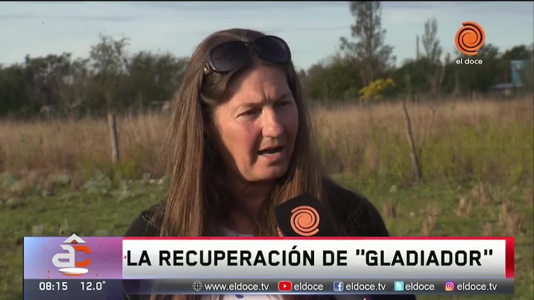 La recuperación de Gladiador