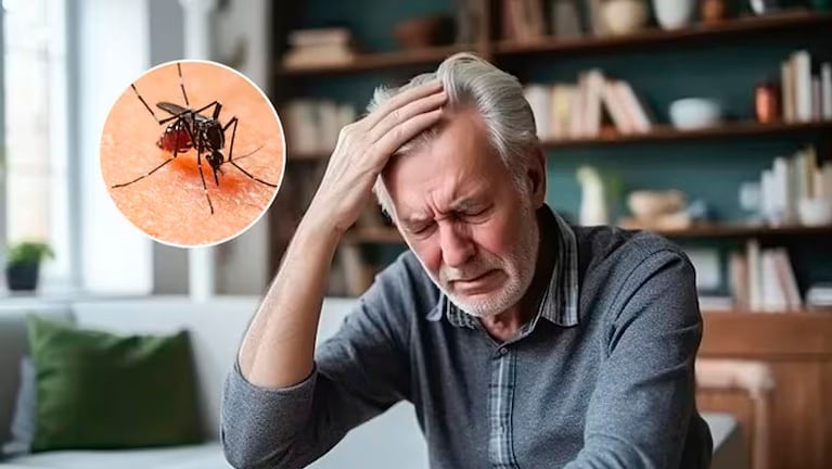 Cuáles son los síntomas y la guía paso a paso si tengo dengue