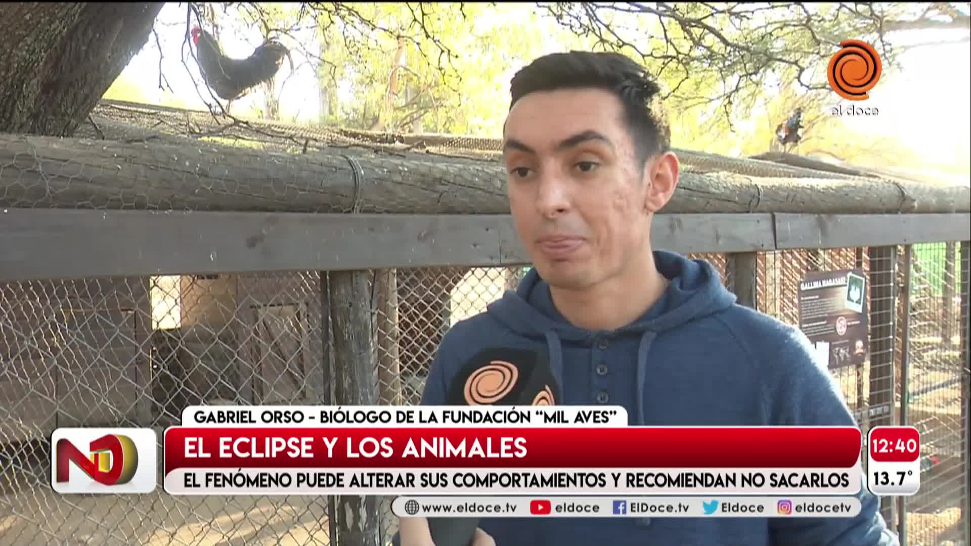 La duda de muchos: ¿cómo afecta el eclipse a los animales?