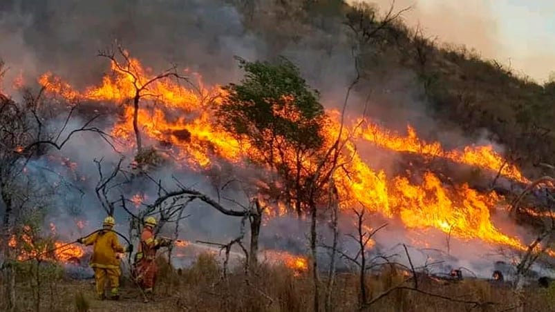 experto incendios