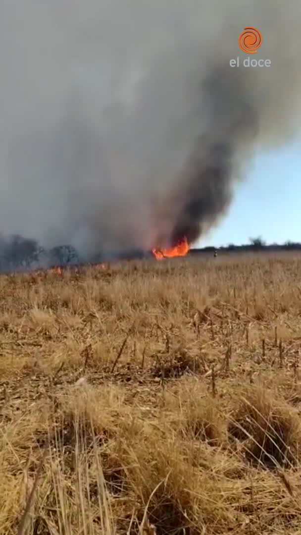 Incendio intencional en Despeñaderos