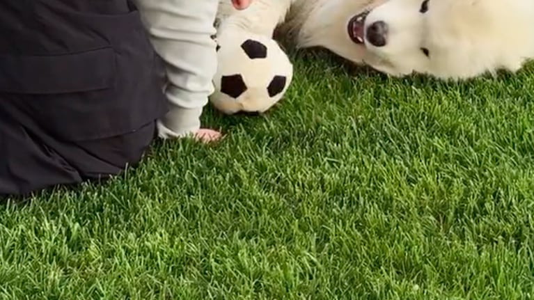 El tierno momento de Julián Álvarez con su hijo