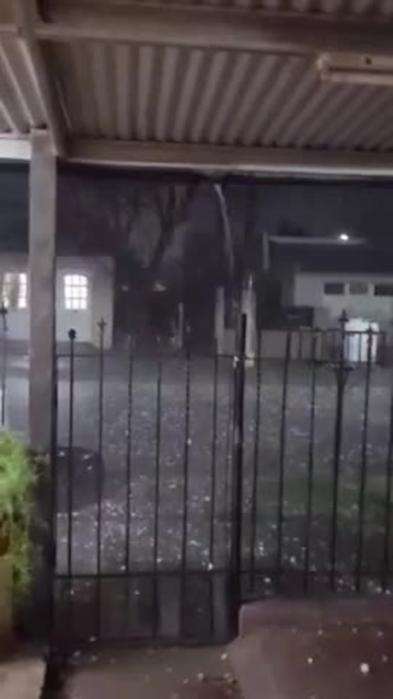 Video Placeholder