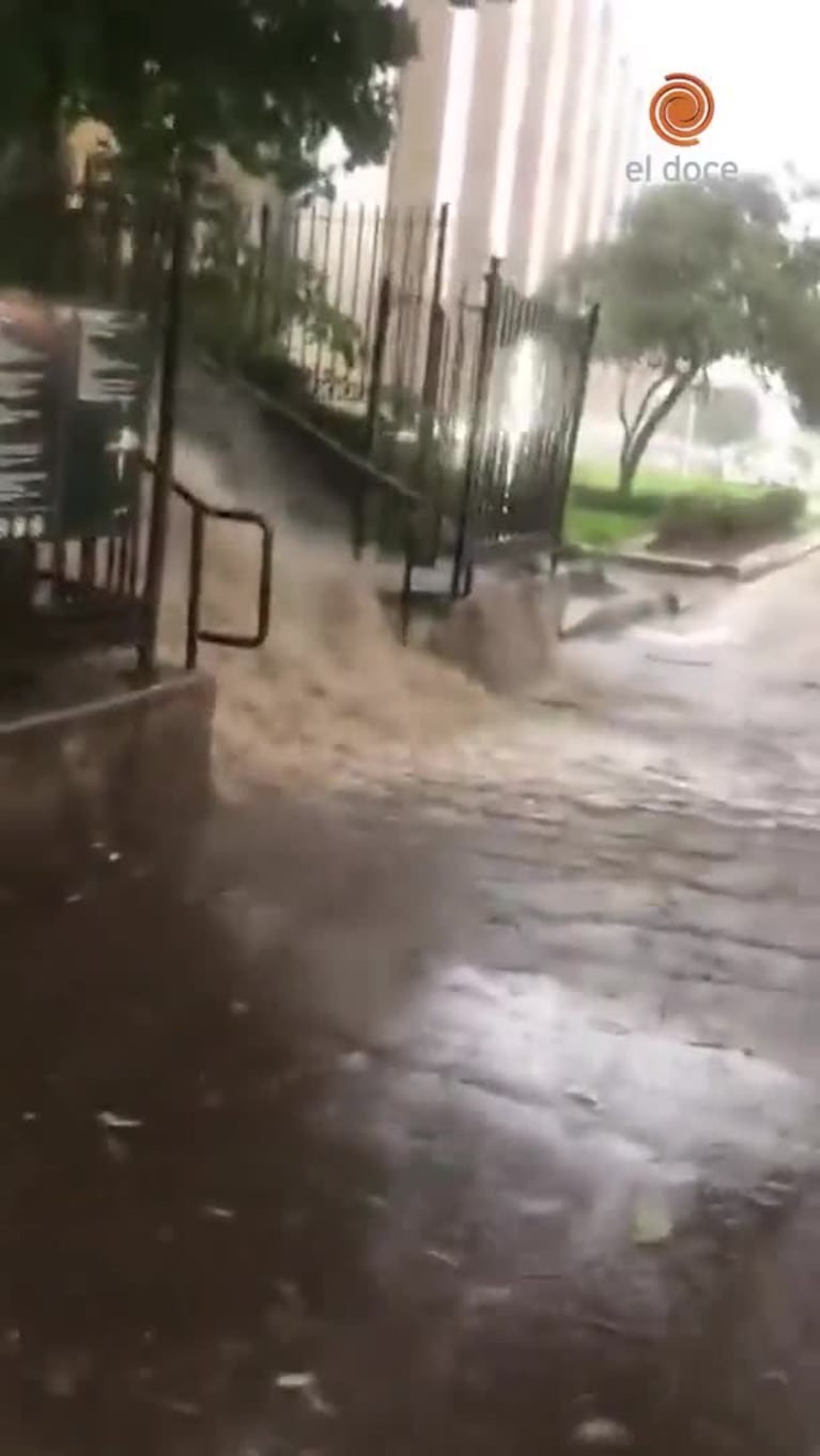 Impactantes inundaciones en Nueva York
