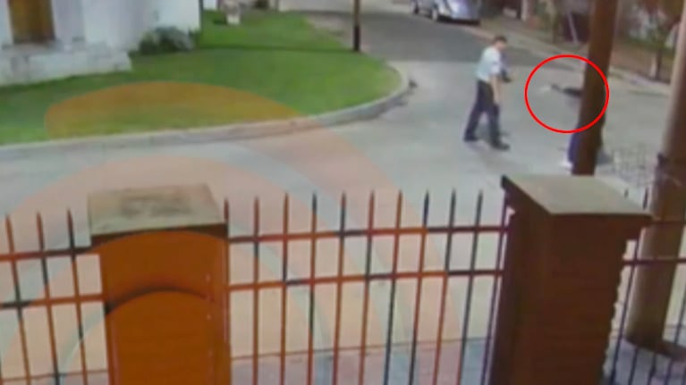 Balearon a un seguridad que se resistió a un robo: el dramático video