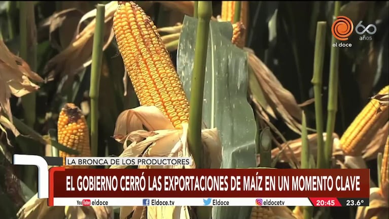 Cerraron las exportaciones de maiz: la bronca de los productores
