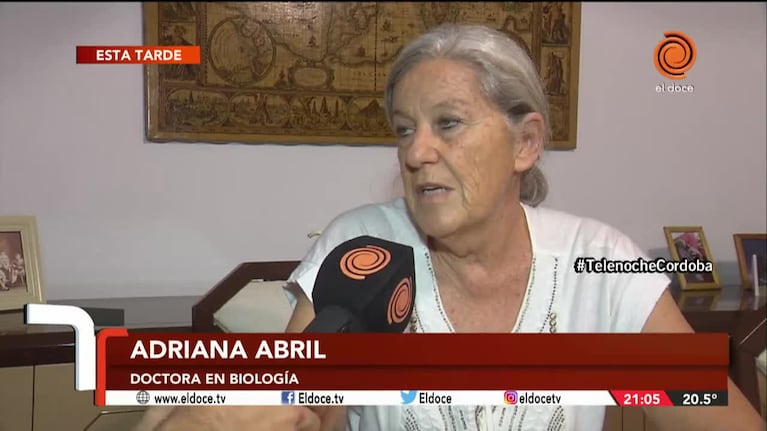 Lago San Roque: advierten por el riesgo que puede ocasionar la contaminación