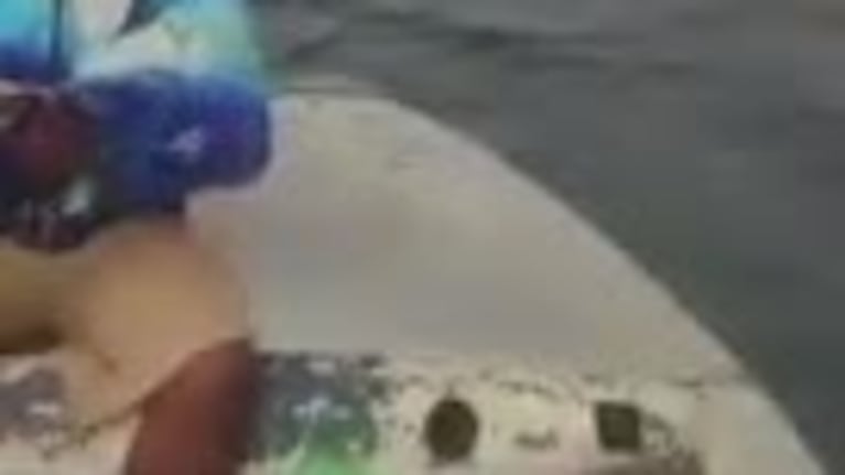 Los impresionantes videos desde la costa