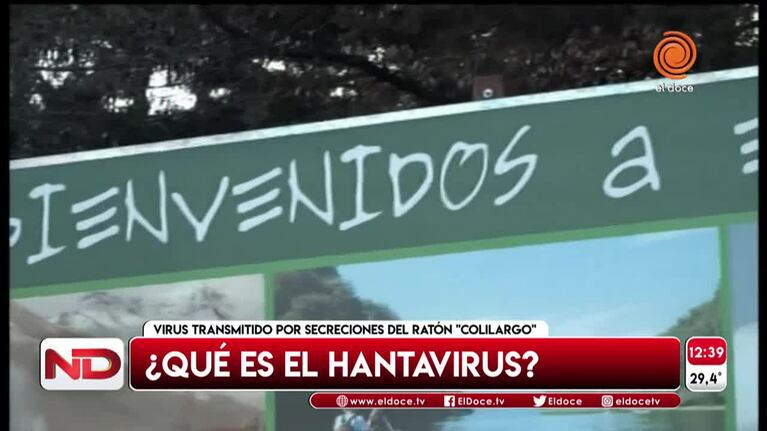 Qué es y cómo se transmite el hantavirus