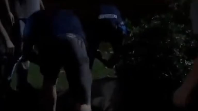 Le pegaron patadas en el piso y hasta palazos tras una discusión
