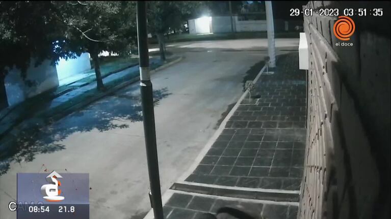 Desde el techo, pescó una bicicleta de un patio y se la robó