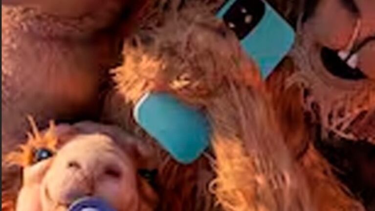 Nostalgia y furor por la vuelta de las llamas más famosas