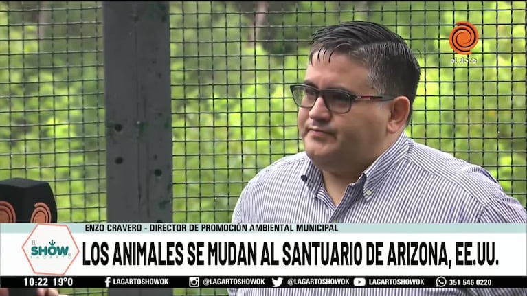 Trasladarán osos del Zoo Córdoba a Estados Unidos