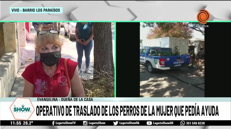 El operativo de rescate de 30 perros en una casa
