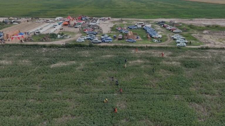 Desde el drone de El Doce, así buscan a Lian entre campos de soja y maíz en Ballesteros Sud