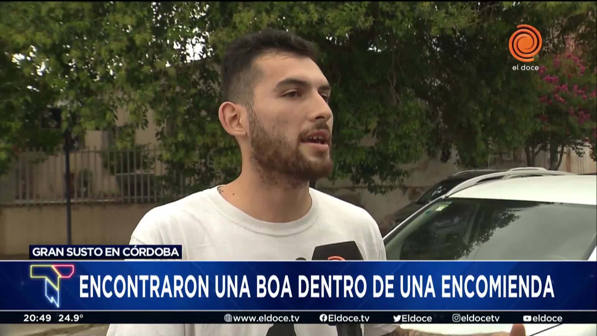 El relato del trabajador que encontró la boa en pleno centro