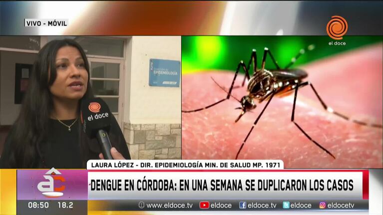 En una semana se duplicaron los casos de dengue en Córdoba