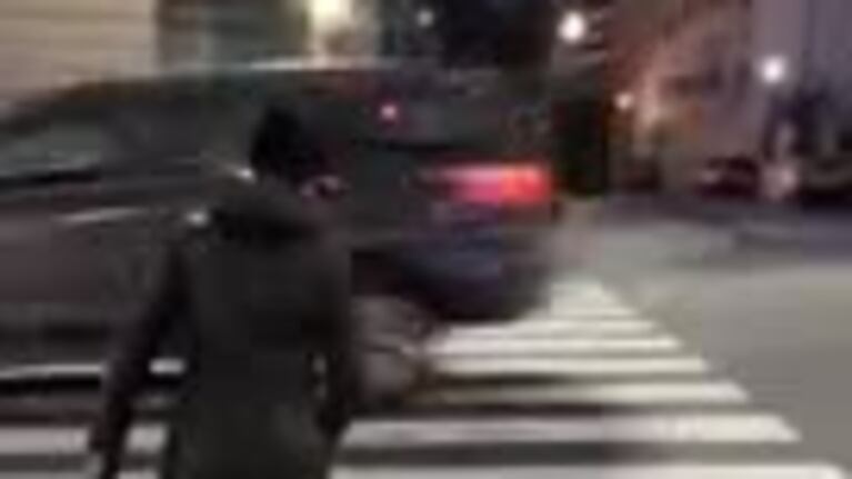 Buenos Aires: maltrato animal y repudio en las redes