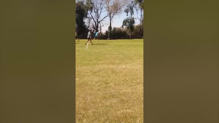 El video de la polémica: Suárez, Bustos y Komar, en un partido