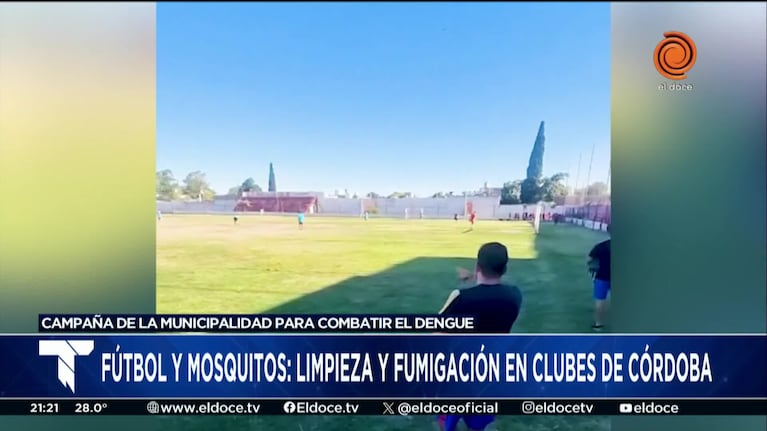 Preocupación en los clubes de Córdoba por la ola de mosquitos y el dengue