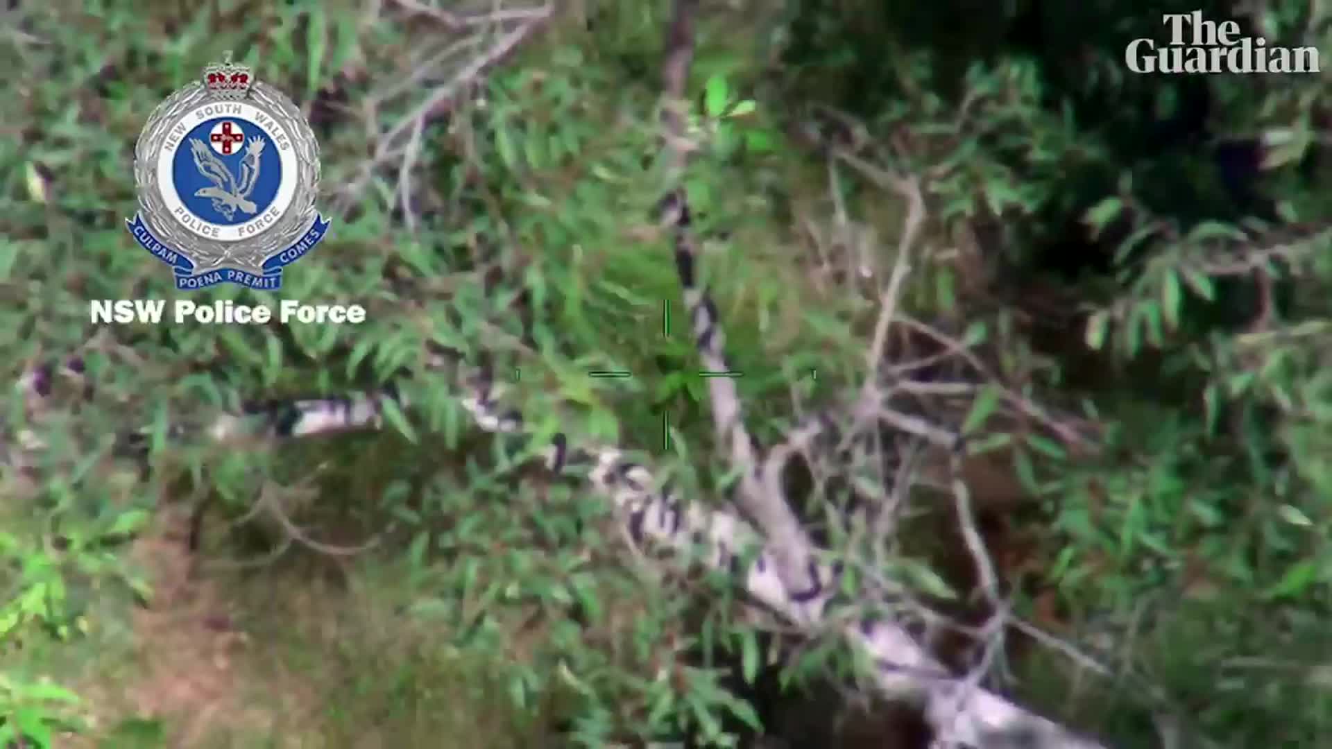 Encontraron a un nene de tres años perdido en un bosque