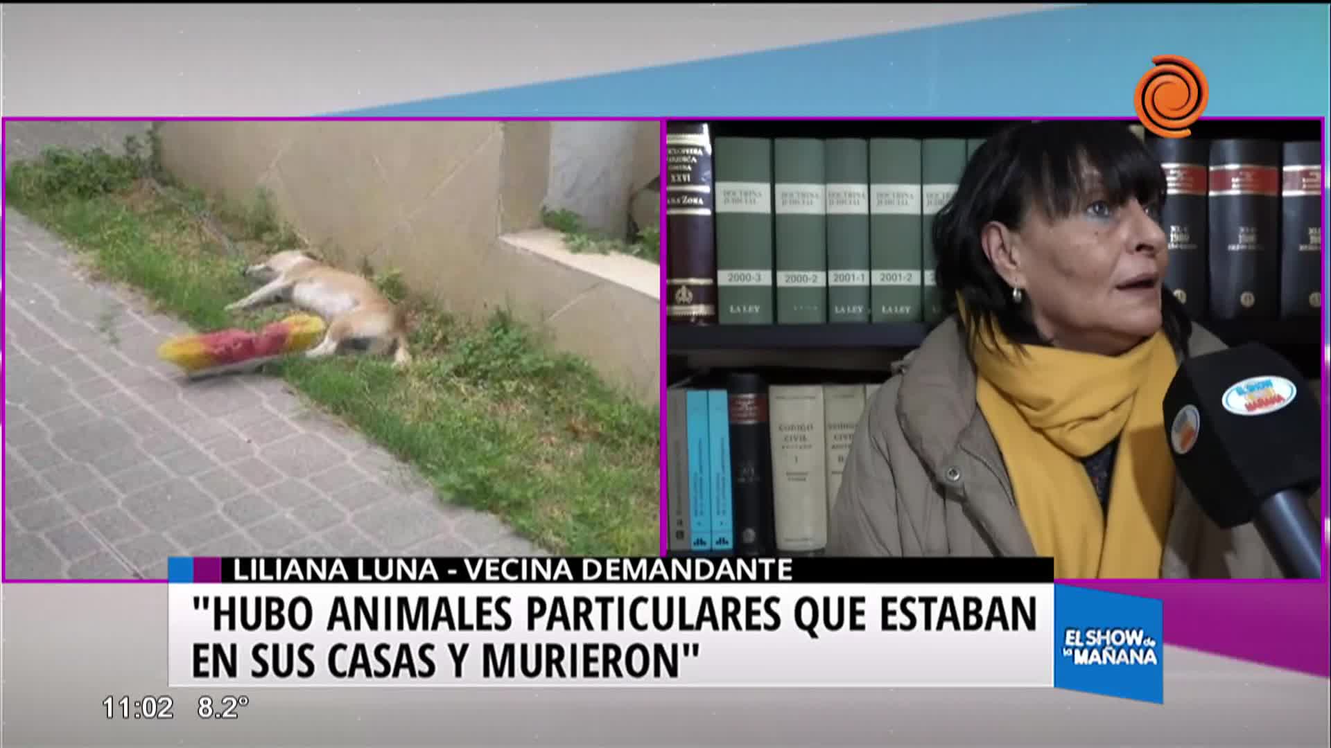 Primer juicio por la matanza de más de 500 animales